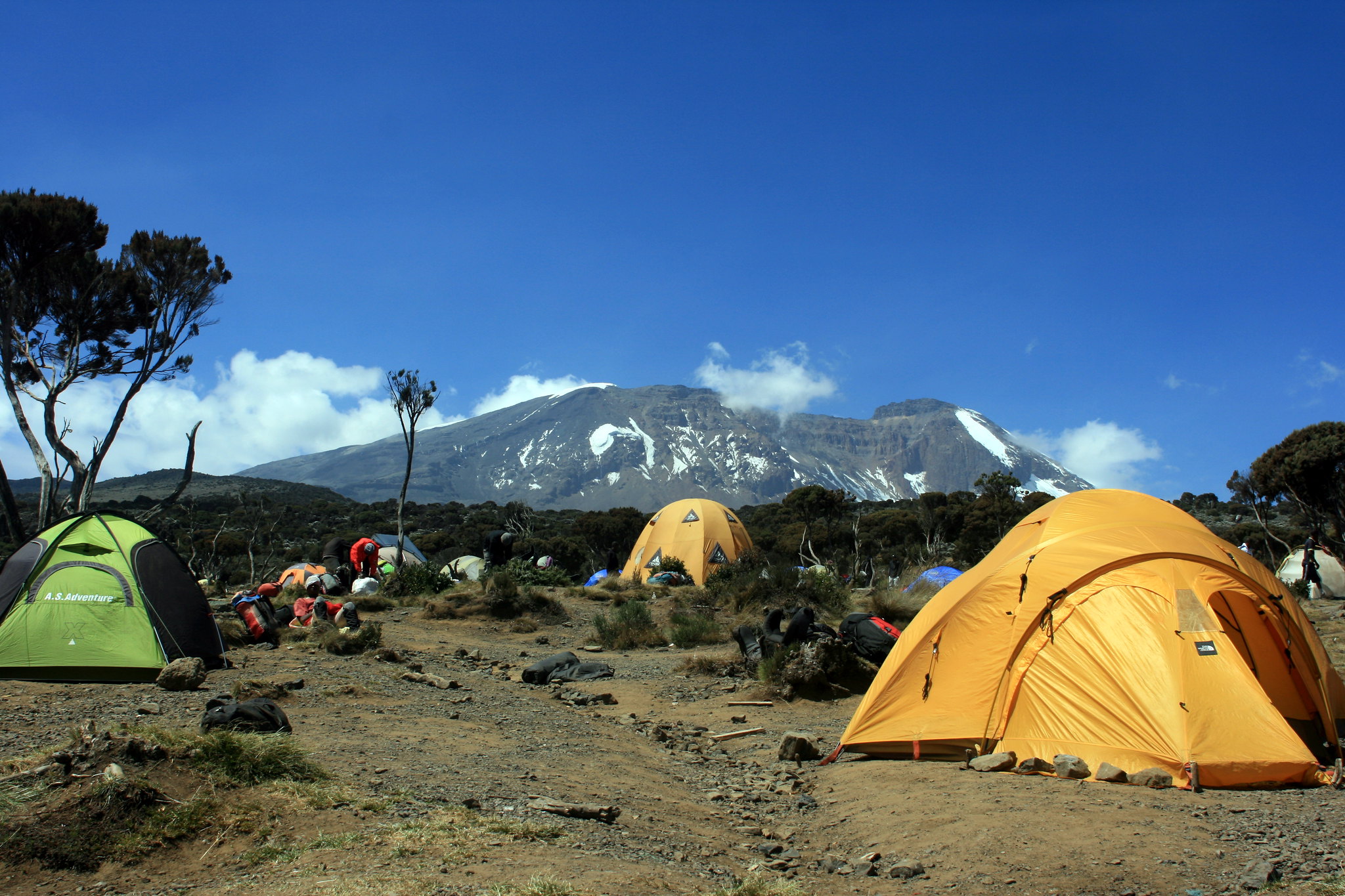 campping_kilimanjaro