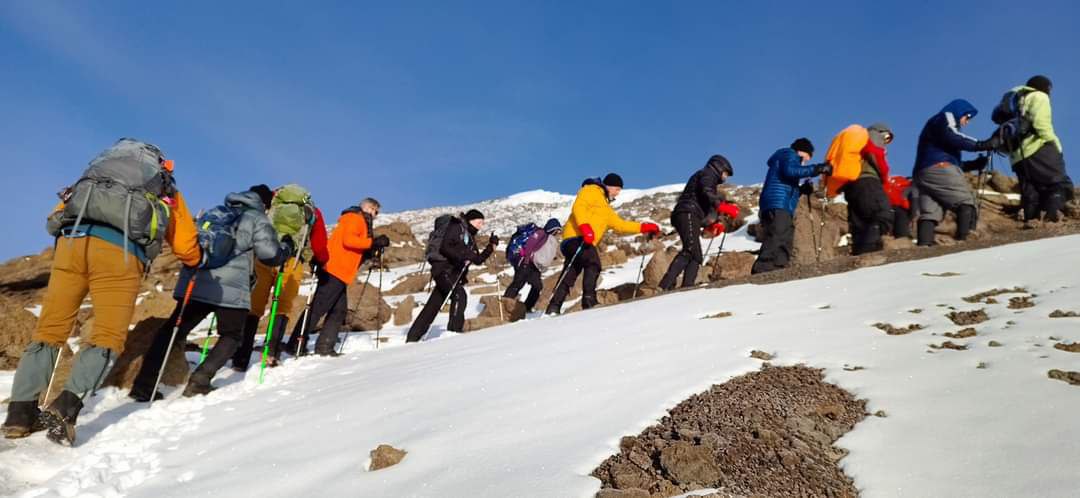 kilimanjaro-hikers